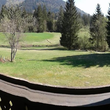 Appartement Fewo Reinhard à Faistenau Extérieur photo