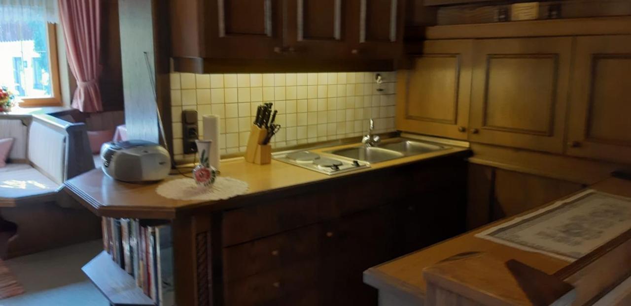 Appartement Fewo Reinhard à Faistenau Extérieur photo